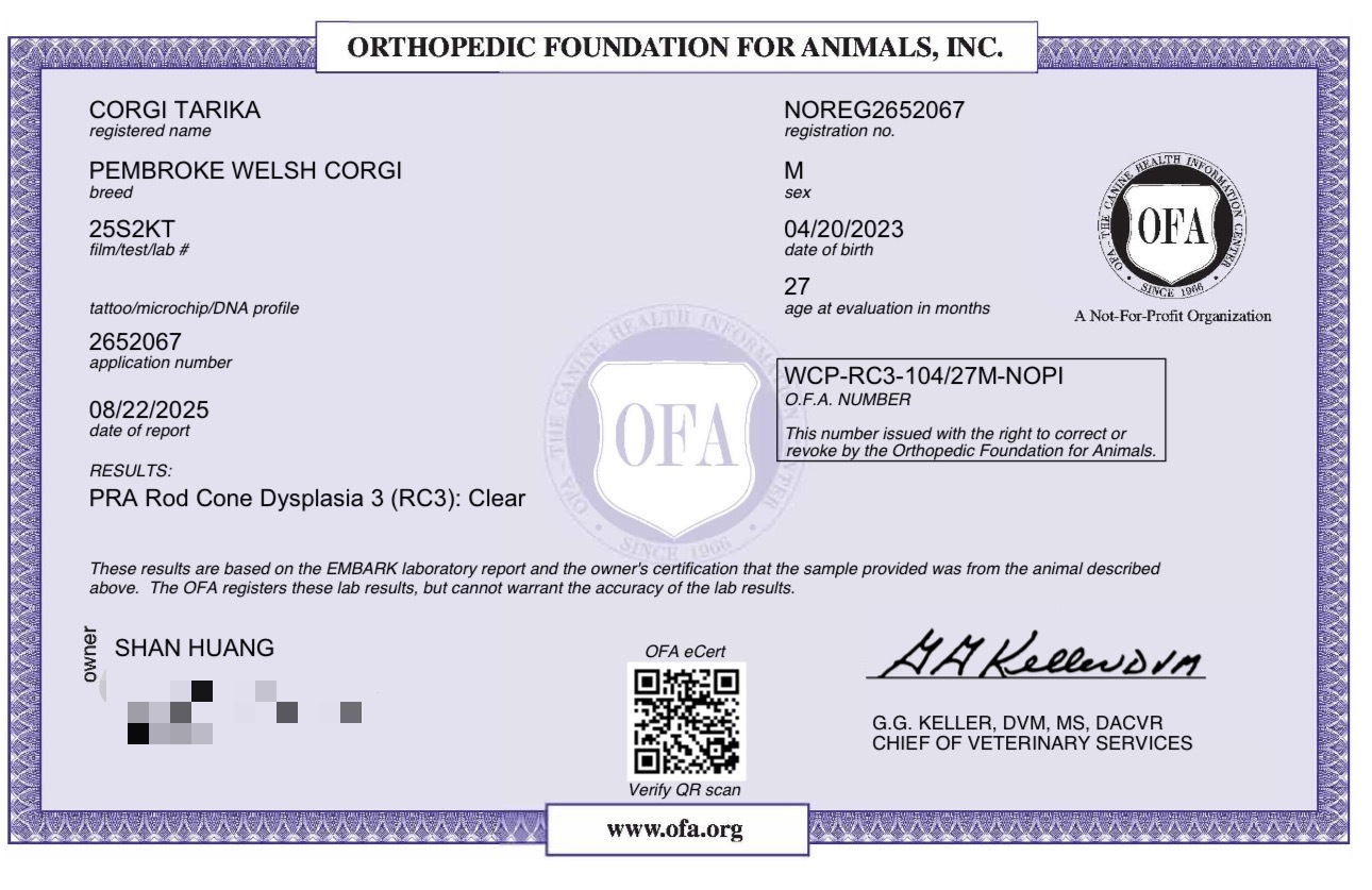 OFA Certificate — Bagel