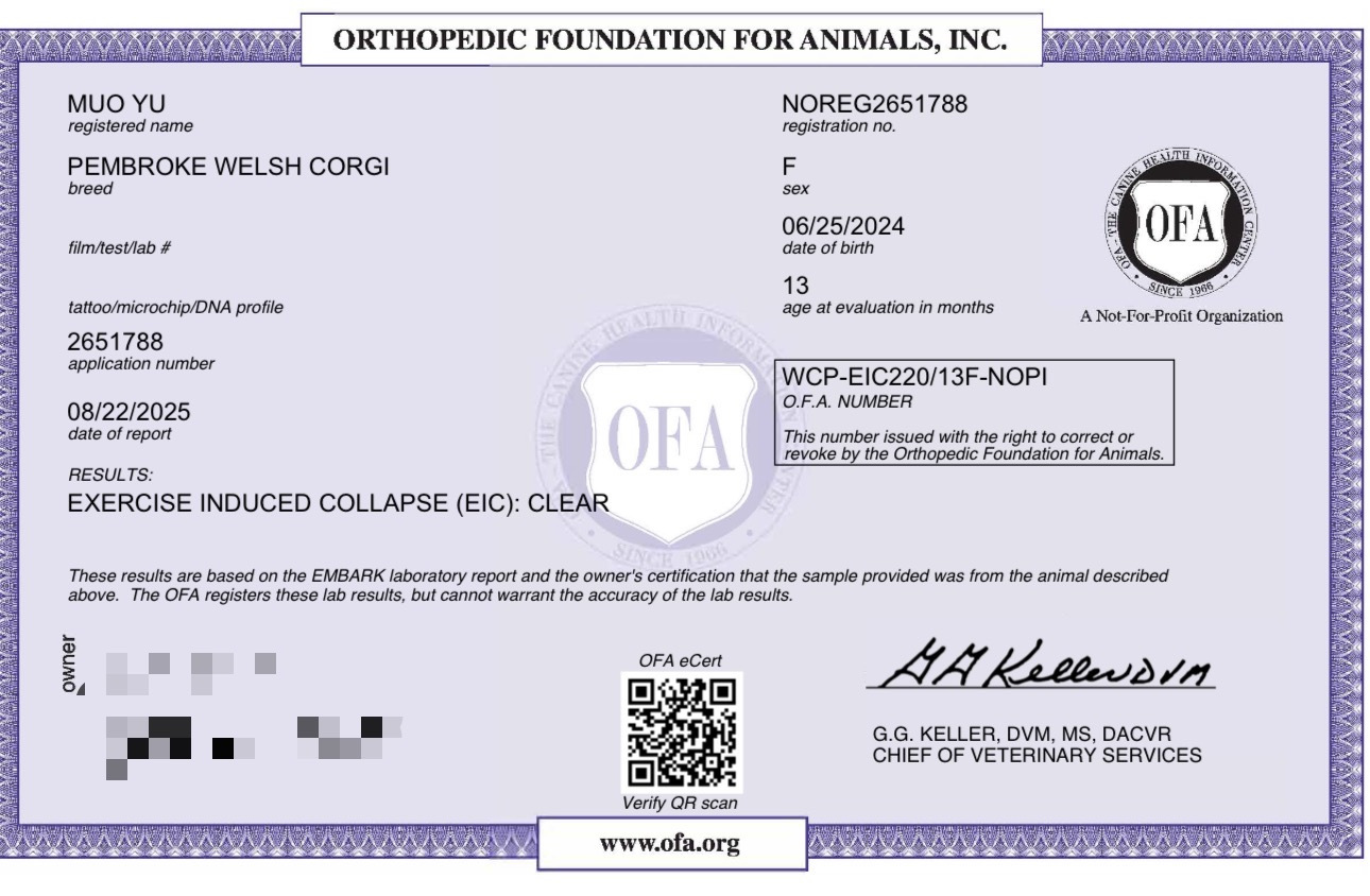 OFA Certificate — Oreo